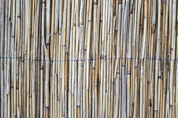 Ruo 'on tausta. Reed eristetty. Perinteinen aita tehty bambusta ruoko. Aasialainen tyyli
. - Valokuva, kuva