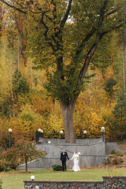 Prachtige herfst in het park. Net getrouwd stel loopt door de grote gele boom - Foto, afbeelding
