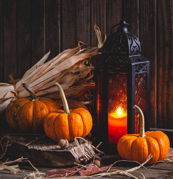 Mini Pumpkins and Glowing Lantern - Fotoğraf, Görsel