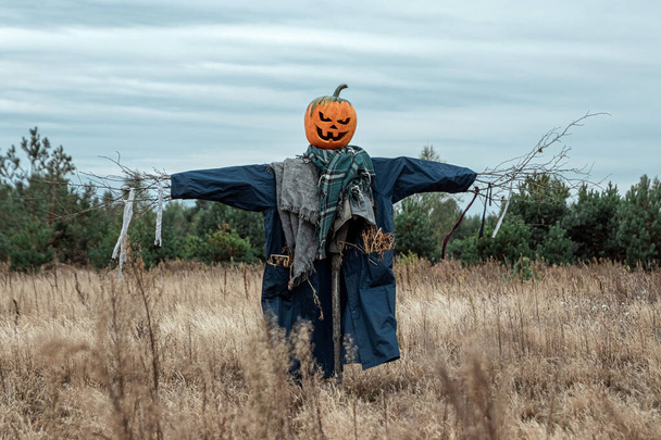 A scary scarecrow with a halloween pumpkin head in a field in cloudy weather. Halloween background, copy space. - 写真・画像