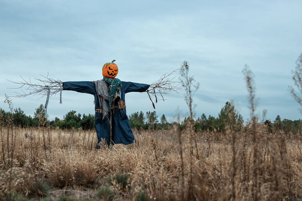 A scary scarecrow with a halloween pumpkin head in a field in cloudy weather. Halloween background, copy space. - Fotoğraf, Görsel