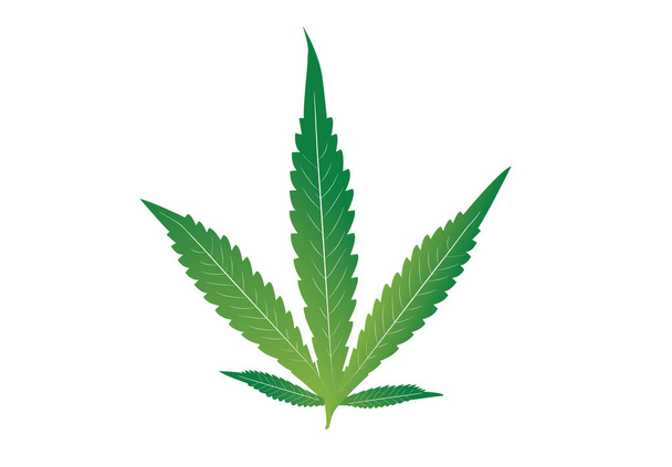 Kannabiksen marihuanan lehti, Kannabiksen indica
 - Vektori, kuva