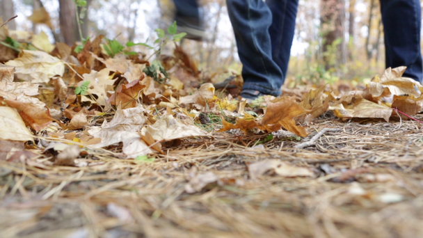 Ένα παιδί κλωτσάει φθινοπωρινά κίτρινα φύλλα σε μια βόλτα στο πάρκο με τον πατέρα του - Πλάνα, βίντεο