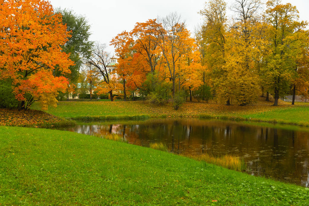 Outono na floresta. Caminhe no Parque. São Petersburgo
. - Foto, Imagem