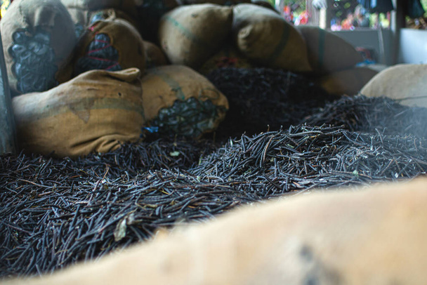 Mungbohnen, die in der Erntezeit in Düngerbeuteln angebaut werden - Foto, Bild