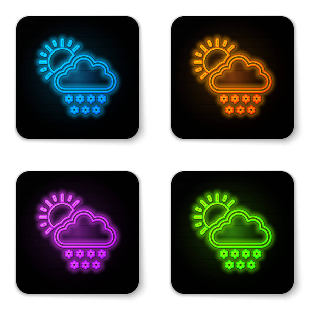 Glowing neon Cloud with snow and sun icon isolated on white background. Cloud with snowflakes. Single weather icon. Snowing sign. Black square button. Vector Illustration - Vektor, Bild