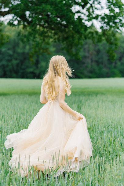 Blonde bride in beige wedding dress runs across the field forward on the grass. Rear view - Photo, image