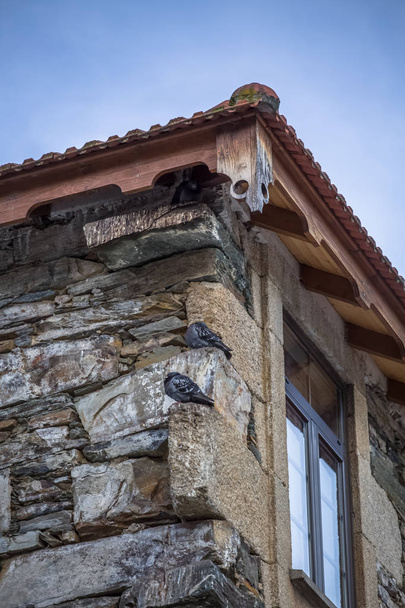 Vue détaillée d'un bâtiment typique du nord du Portugal sur la ville de Pinhao, murs en granit et schiste, architecture vernaculaire
 - Photo, image