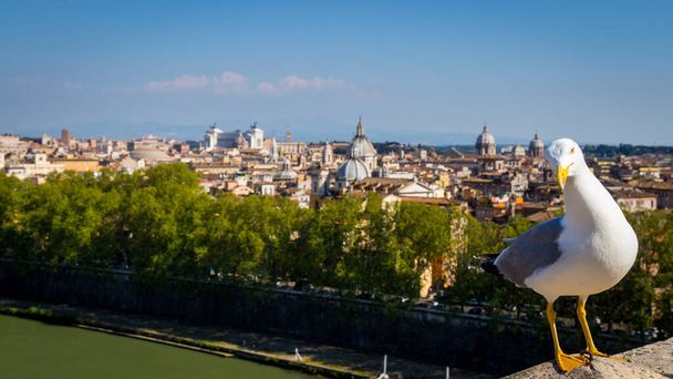 Panoramic view over the historic center of Rome, Italy from Cast - Foto, immagini