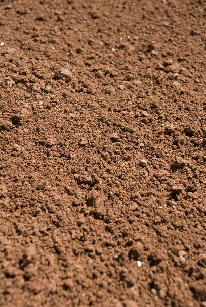 czerwone gleby - Zdjęcie, obraz