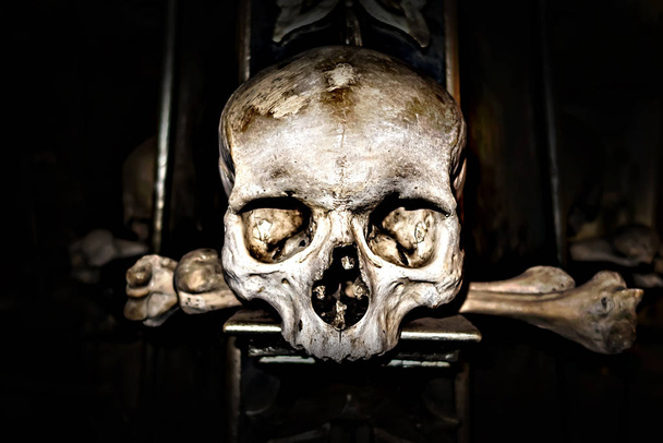 Selectieve focus Skelet griezelige schedel achtergrond. Dag van de Dea - Foto, afbeelding