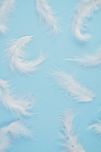 Gentle soft white feathers pattern over pastel background - Foto, afbeelding