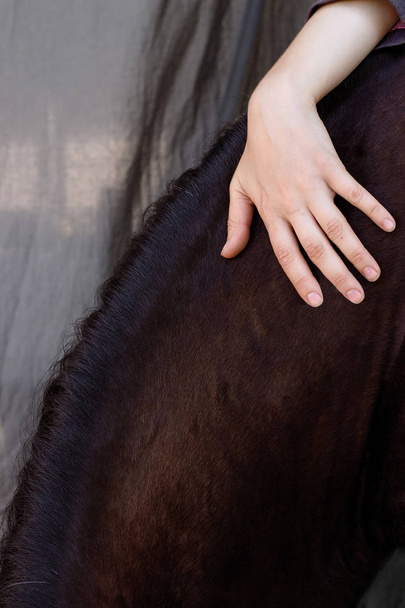 Foto weibliche Hand umarmt Pferde Hals - Foto, Bild