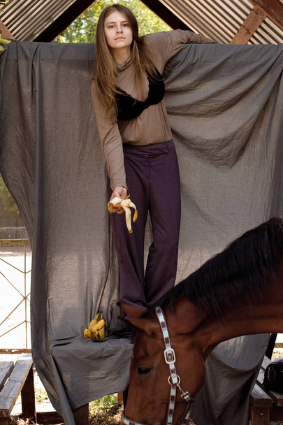 zdjęcie długowłosy dziewczyna karmi jej koń z banany - Zdjęcie, obraz
