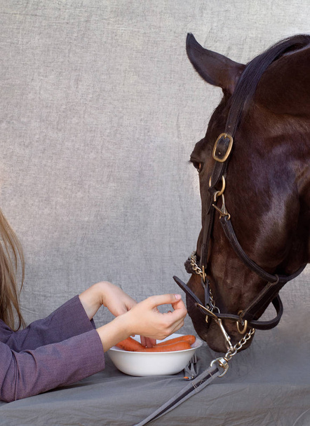 Фотографии женщины и лошади пир с морковью
 - Фото, изображение