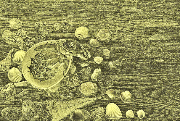 relief tło, ananas w wazonie na drewnianym stole wśród muszli morskich z kolorowymi wzorami zbliżenie, - Zdjęcie, obraz