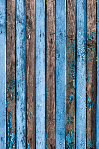 Achtergrond van oude armoedige blauwe smalle planken met twee rijen nagels. Op veel planken is er geen verf, veel knopen, verticaal geordend. Verticaal frame. - Foto, afbeelding