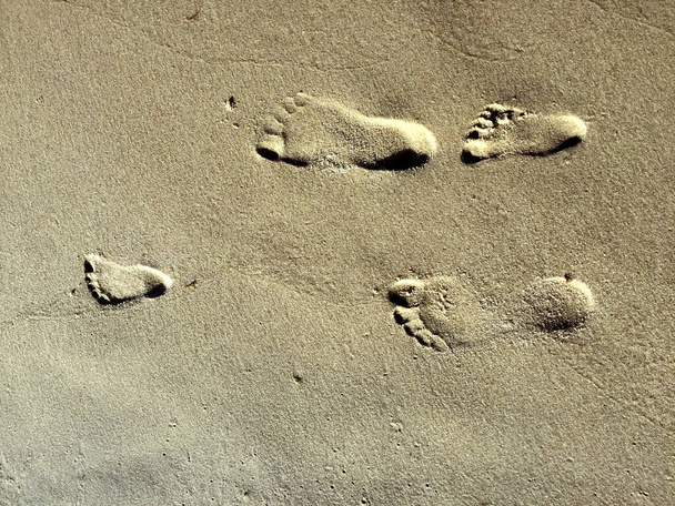footprint of a family - Photo, Image