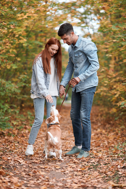 young handsome man introducing his dog with his beautiful red-haired girlfriend - Fotó, kép