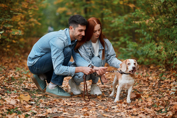 two cheerful attractive young man and woman stroking dog - Foto, imagen