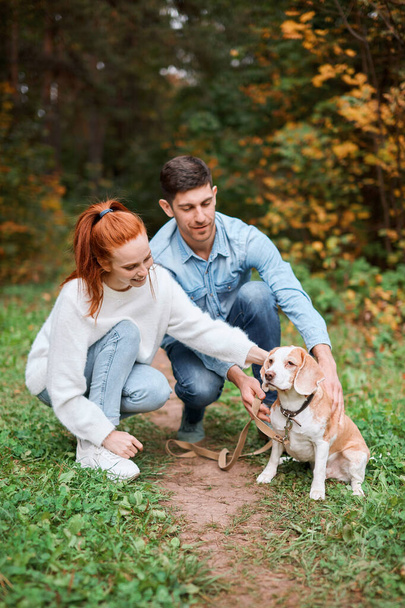 cheerful kind friendly couple stroking their dog in the park - 写真・画像