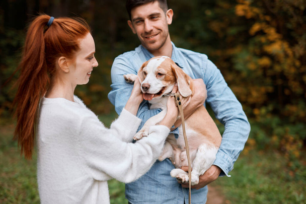 ginger happy girl having fun with pet, while her boyfriend keeping the dog - Foto, Imagem