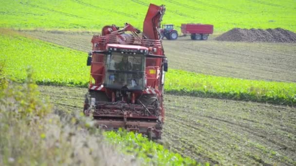 Sugar beet harvest with harvesting machine in Ruuthsbo, Scania, Sweden - Footage, Video