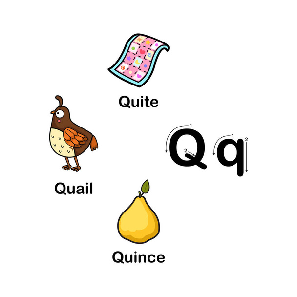 Alphabet Lettre Q-caille, coing, illustration assez vectorielle
 - Vecteur, image