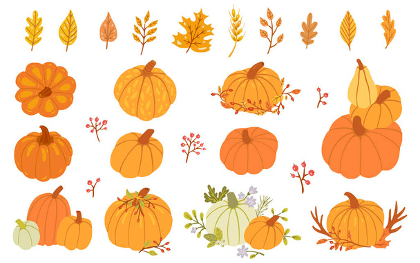 Set van verschillende oranje, groene pompoenen en herfstbladeren - Vector, afbeelding