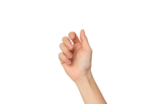 Primer plano de la mano de la mujer aislada sobre fondo blanco con camino de recorte - Foto, Imagen
