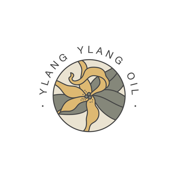 Vector design template and emblem - healthy and cosmetics oil. Ylang ylang natural, organic oil. Colorful logo in trendy linear style. - Vetor, Imagem