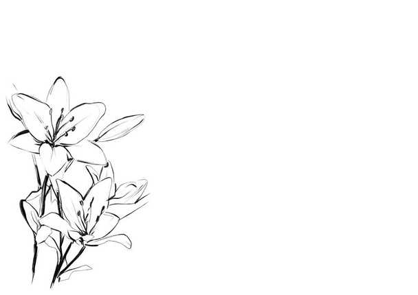 Růže kreslit černý řádek text mezera Inkoust - Fotografie, Obrázek