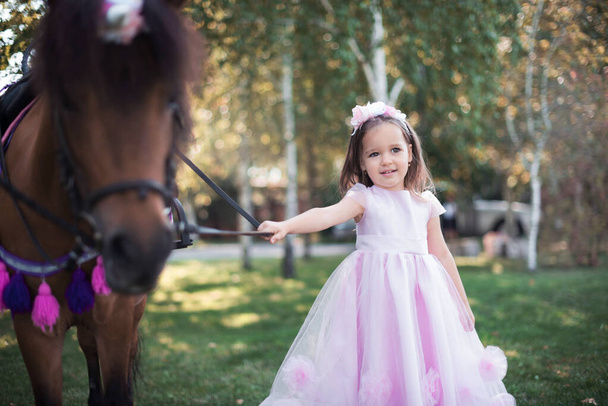 Klein meisje in een mooie jurk van roze kleur in het park met een bruine pony. - Foto, afbeelding