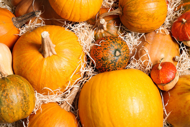 Many fresh raw whole pumpkins and wood shavings as background, top view. Holiday decoration - Fotó, kép