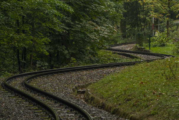 Ferrocarril de ancho estrecho en bosque oscuro en día oscuro lluvioso
 - Foto, imagen