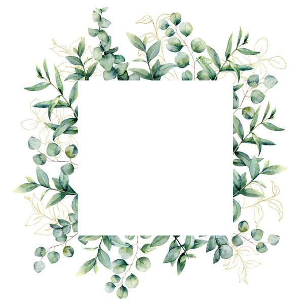 Watercolor frame with golden eucaliptus leaves. Hand painted baby, seeded and silver dollar eucalyptus branch isolated on white background. Floral illustration for design, print, fabric or background. - 写真・画像