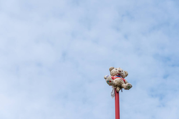oso de fiesta en un soporte contra un cielo vacío
 - Foto, imagen