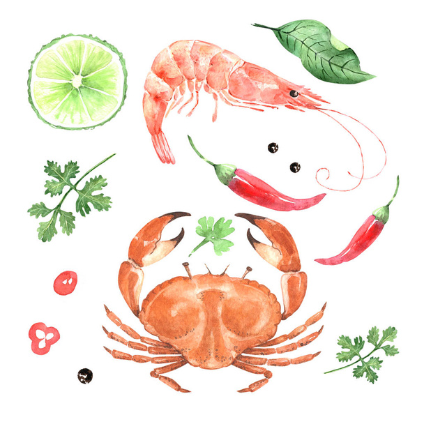 serie di illustrazioni acquerello frutti di mare con erbe e spezie, su uno sfondo bianco
 - Foto, immagini