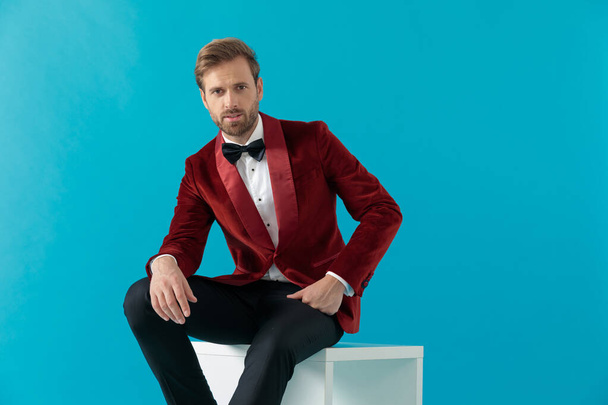 confident elegant man sitting and wearing red velvet tuxedo - Zdjęcie, obraz