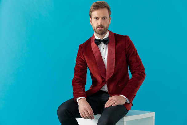 elegancki człowiek mody w czerwonym aksamitnym smokingu i siedzi - Zdjęcie, obraz