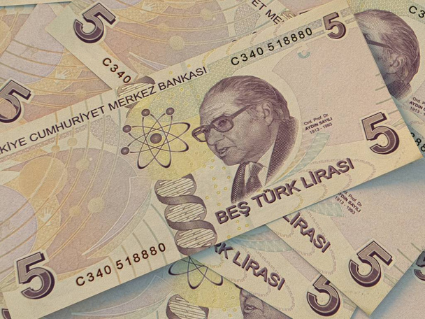 Turkish currency. Money of Turkey business background. Turkish L - Photo, Image