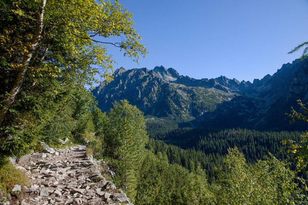 Hihikg in Nationaal park Hoge Tatra, Slowakije - Foto, afbeelding