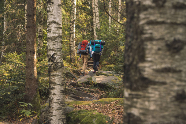 tourism photography of two girl backpacking in birch and pine highland mountain forest Canadian scenic landscape cold natural environment   - 写真・画像