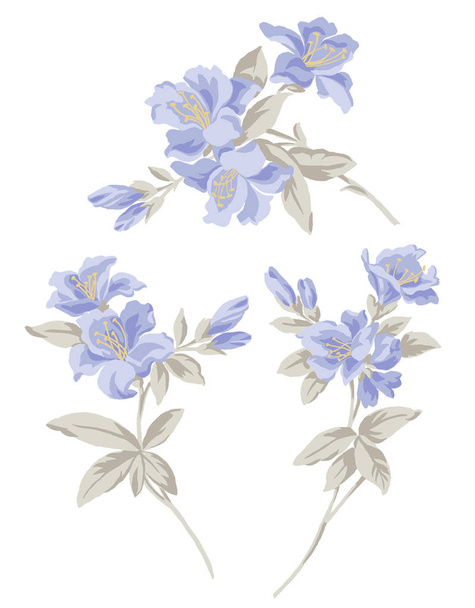 Fundo de padrão sem costura de flor popular clássico - Para fácil fazer padrão sem costura usá-lo para preencher quaisquer contornos
 - Foto, Imagem
