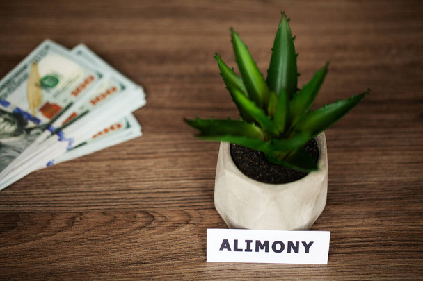Divorce and separation concept. Alimony written on white card. - Fotó, kép