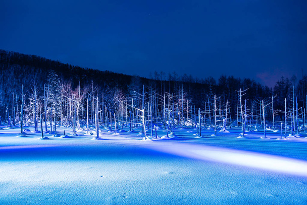 Hermoso paisaje al aire libre con estanque azul río por la noche con l
 - Foto, imagen