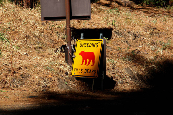 "Speed Kills Bears "this sign is posted throughout Yosemitie due to cars killing bears due to high speed - Фото, изображение