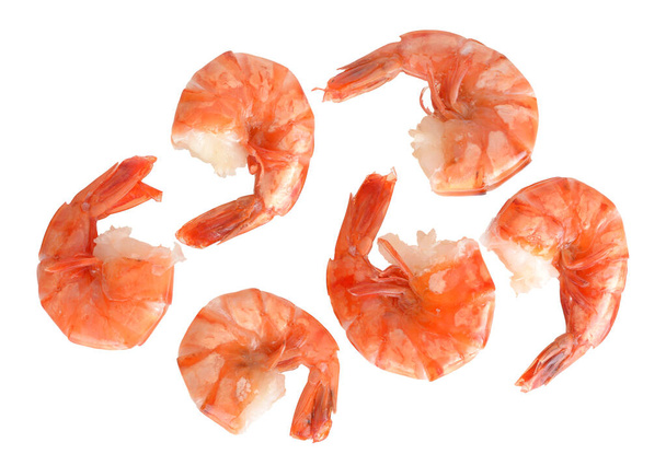  jumbo Shrimp - Photo, Image