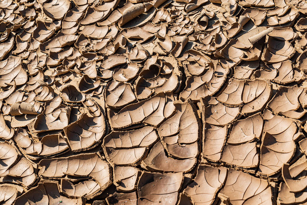 Detail Of Dry Ground On The Desert - Texture / Pattern - Фото, зображення