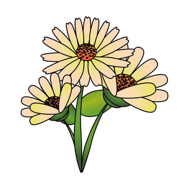 flower tropical spring floral cartoon - Vetor, Imagem